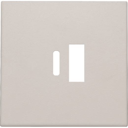 Накладка USB Type-A-C, серый