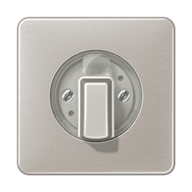 JUNG Накладка поворотного механизма платина