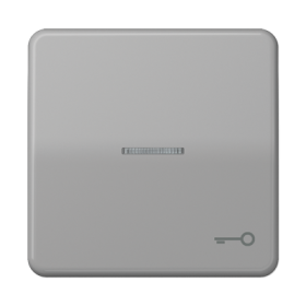 JUNG CD 500/CD plus Серая Клавиша 1-ая с/п с символом КЛЮЧ