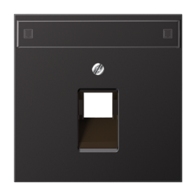 JUNG LS 990 Dark Крышка для одинарной телефонной и компютерной розетки UAE с полем для надписи