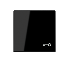 JUNG Клавиша с символом 