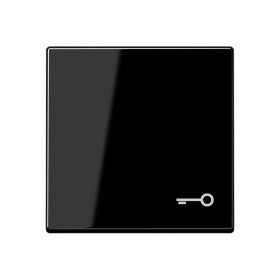 JUNG Клавиша с символом 