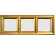 JUNG EcoProfi DECO Золото Рамка 3-ая