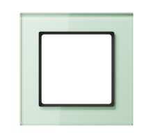 JUNG A creation Стекло Матовое Рамка 1-ая