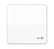 JUNG CD 500/CD plus Белая Клавиша 1-ая с символом КЛЮЧ