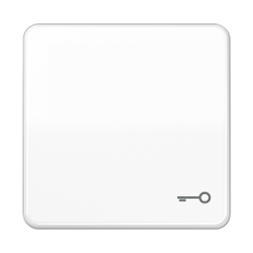 JUNG CD 500/CD plus Белая Клавиша 1-ая с символом КЛЮЧ