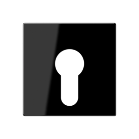 JUNG Крышка для выключателя с замком черный
