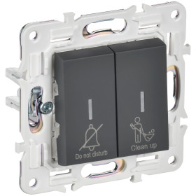 IEK SKANDY Графит Выключатель 2-клавишный с индикацией для отелей 10А SK-V16G