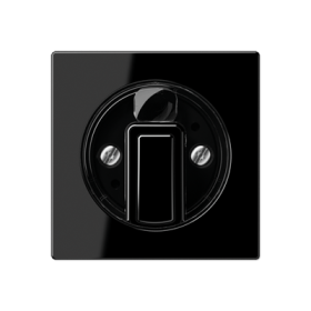 JUNG Накладка поворотного механизма черный