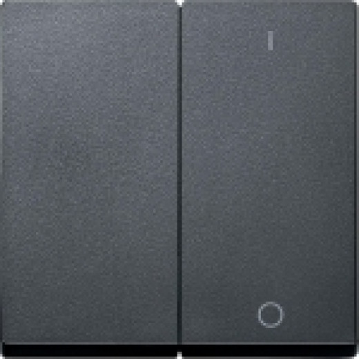 MERTEN КЛАВИША двойная с пиктограммами 