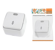 TDM Переключатель на 2 направления 1-кл. открытой установки с подсветкой IP20 10А, белый 