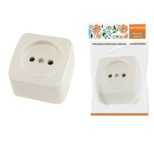 TDM Розетка 2П открытой установки IP20 10А, сл. кость 