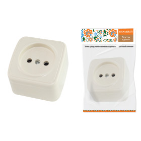 TDM Розетка 2П открытой установки IP20 10А, сл. кость 