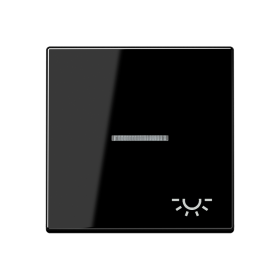 JUNG клавиша с символом 