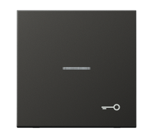 JUNG Клавиша для контрольного выключателя с подсветкой и символом 