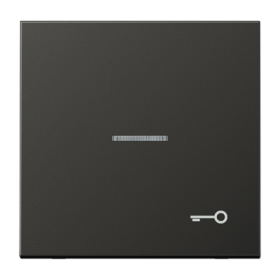 JUNG Клавиша для контрольного выключателя с подсветкой и символом 