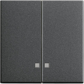 Gira S-55 Антрацит Клавиша 2-ая с линзами подсветки