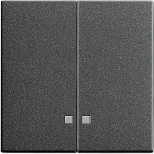 Накладка двухклавишная с контрольными окнами