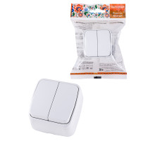 TDM Выключатель 2-кл. открытой установки IP20 10А, белый 