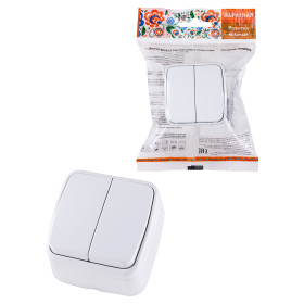 TDM Выключатель 2-кл. открытой установки IP20 10А, белый 