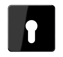 JUNG центральная плата для вставки с ключом, чёрный