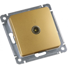 Hegel Мастер внутр Золото РСТВ-401-07 Розетка телевизионная оконечная, механизм