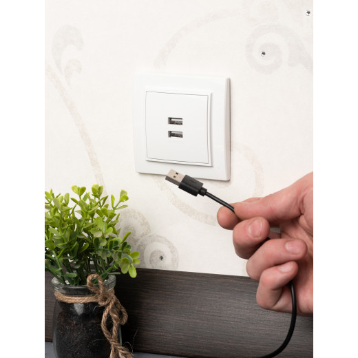 Минск Розетка USB 2-местная СП 2,1А белая EKF