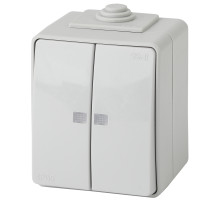 ЭРА Выключатель Эксперт 11-1605-03 двойной с подсветкой IP65 10АХ-250В ОУ серый