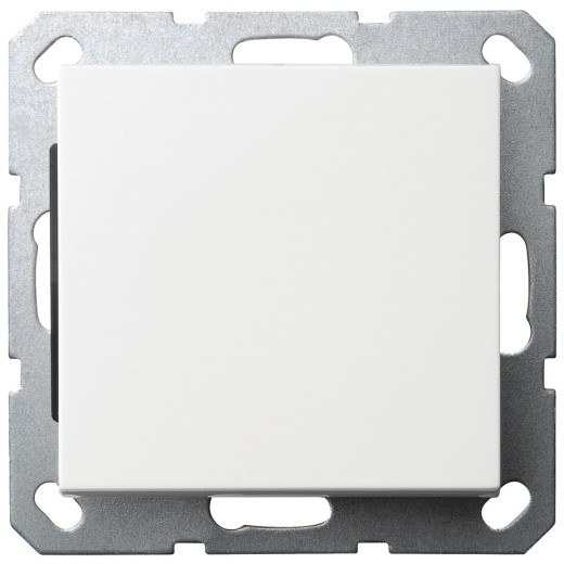 G Белый глянцевый Выключатель кнопочный (звонковый) 10A 250V~ 10A 250V~