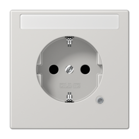 JUNG SCHUKO-розетка с полем для надписи и индикатором, светло-серый