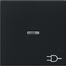 Gira Клавиша с подсветкой и символом 