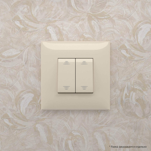 Выключатель двухклавишный в стену, Avanti, ванильная дымка