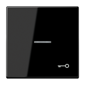 JUNG Клавиша для выключателя с символом «Ключ», чёрный