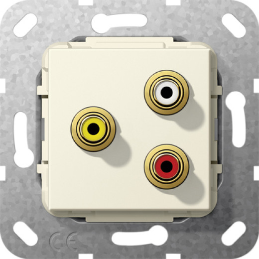 Тюльпан аудио,  гнездо