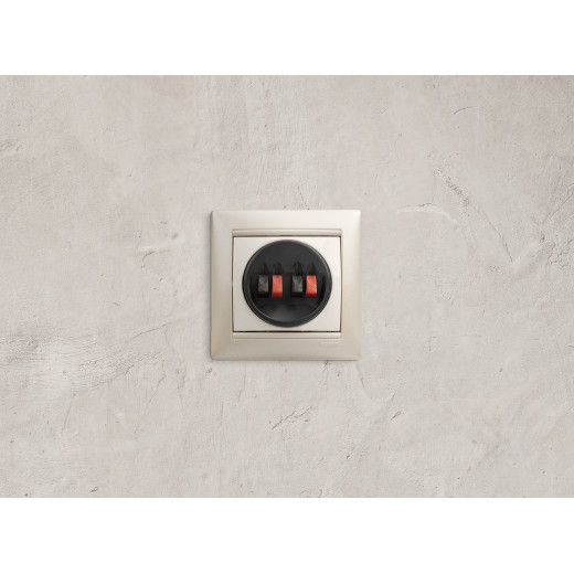 Розетка для акустической системы двойная - Legrand Valena - белый