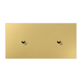 JUNG LS1912 Латунь классик Центральная плата, 2 поста, для горизонтальной установки, тумблеры 1+1,конус; метал. исполнение