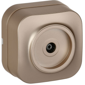 IEK GLORY Роз. TV о/у РТВ20-ХШм шамп. м.