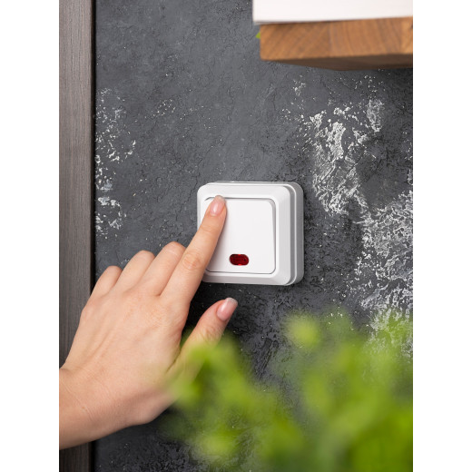 Рим Выключатель 1-клавишный с индикатором 10А белый EKF