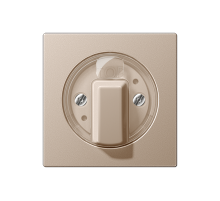 JUNG А 500 Шампань накладка поворотного механизма (лакированный дюропласт)