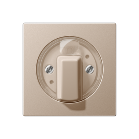 JUNG А 500 Шампань накладка поворотного механизма (лакированный дюропласт)