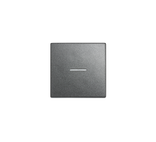 JUNG EcoProfi Антрацит Клавиша 1-ая с/п