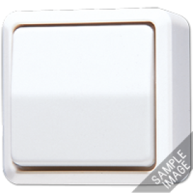 JUNG Выключатель для накладного монтажа, двухполюсный слоновая кость