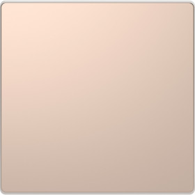 Schneider Electric Merten D-Life Шампань Клавиша 1-ая