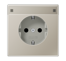 JUNG Штепсельная розетка SCHUKO 16A 250V~ с полем для надписи благородная сталь