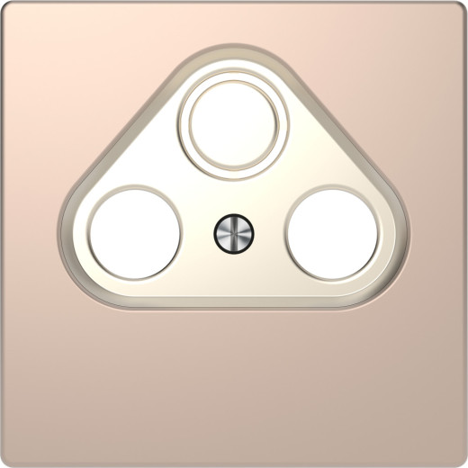 DL, ЦЕНТР.НАКЛАД. TV РОЗЕТКИ, ШАМПАНЬ