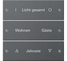 Gira System 55 Антрацит Набор клавиш 3-местный,  ГРАВИРОВКА