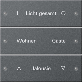 Gira System 55 Антрацит Набор клавиш 3-местный,  ГРАВИРОВКА