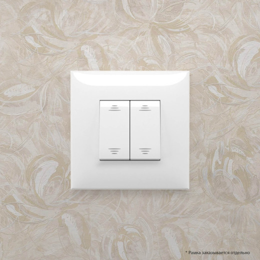 Выключатель двухклавишный в стену, Avanti, белое облако