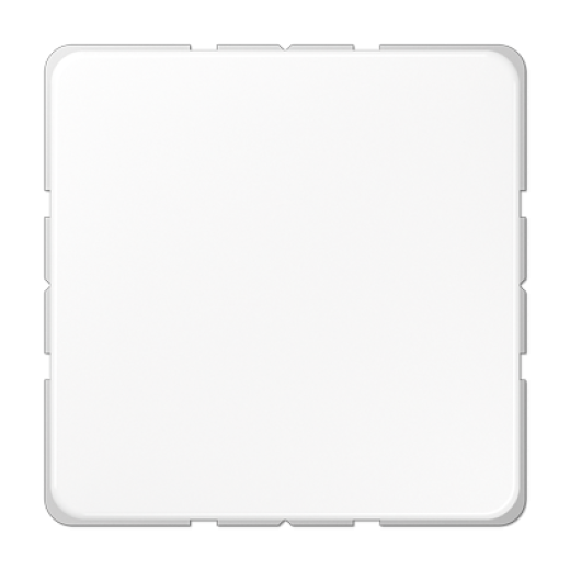Крышка без отверстий, фиксация защёлкиванием, для произвольных вырезов (либо использование в качестве заглушки), возможно IP44, термопласт, белый, CD500