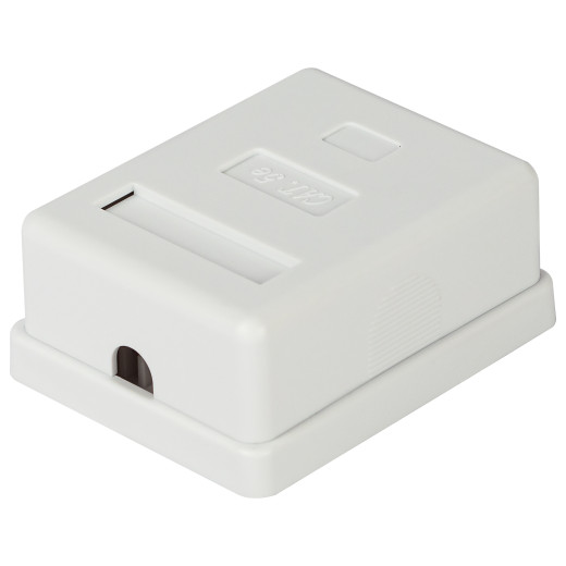 Розетка компьютерная RJ-45 ЭРА RJ01UN категория 5е неэкранированная 1-порт упаковка 40 штук